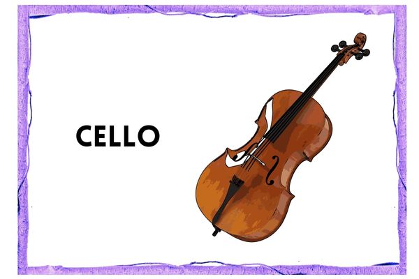 image of cello