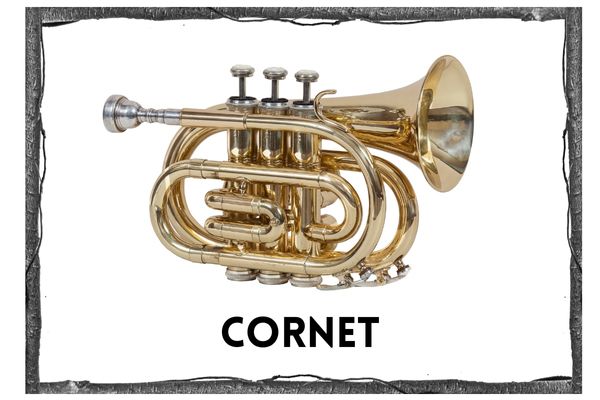 picture of a cornet