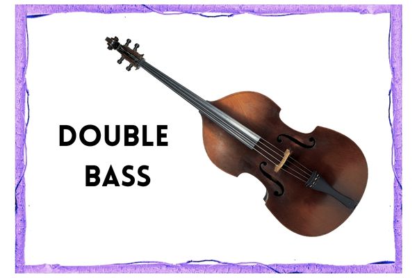 image of a double bass