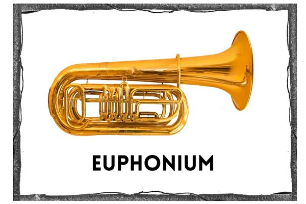 picture of a euphonium