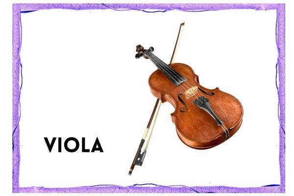 image of a viola and bow